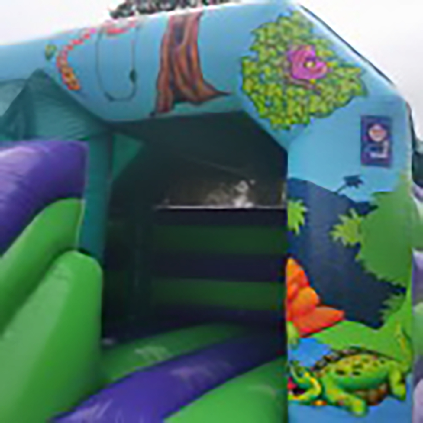 North Dublin Bouncy Castles - Ultimate Bounce